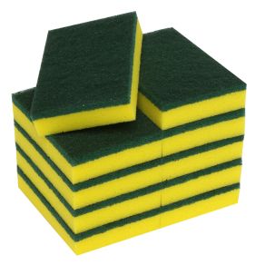Scourer Sponge